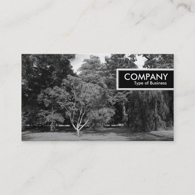 Edge Tag - Trees, Bute Park, Cardiff (Front)