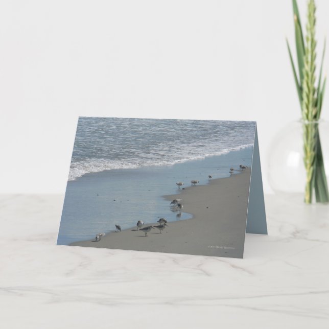 Edge Walkers Card (Front)