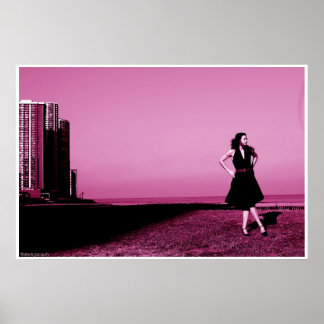 Edgewater beach, ill poster