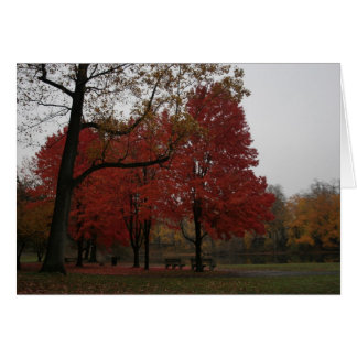 edgewood park in the fall cards