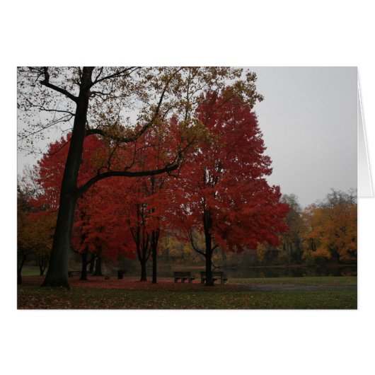 edgewood park in the fall cards (Front Horizontal)