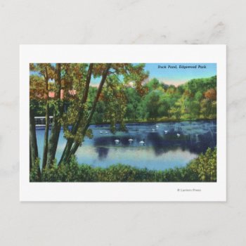 Edgewood Park View Of The Duck Pond Postcard by LanternPress at Zazzle