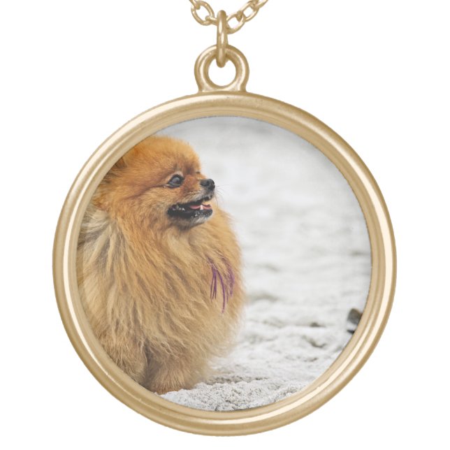 Edgrrrr #3 - Pomeranian Gold Plated Necklace (Front)