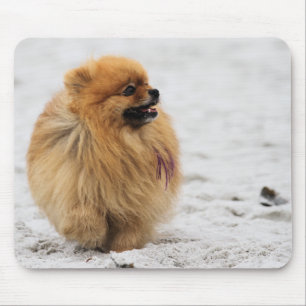 Edgrrrr #3 - Pomeranian Mouse Pad