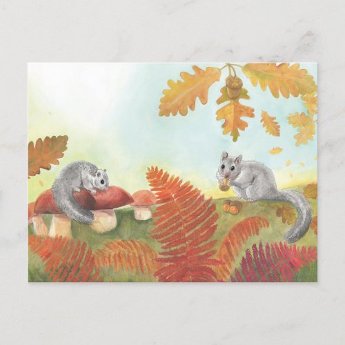 Edible Dormice Glis glis in Nature   Postcard