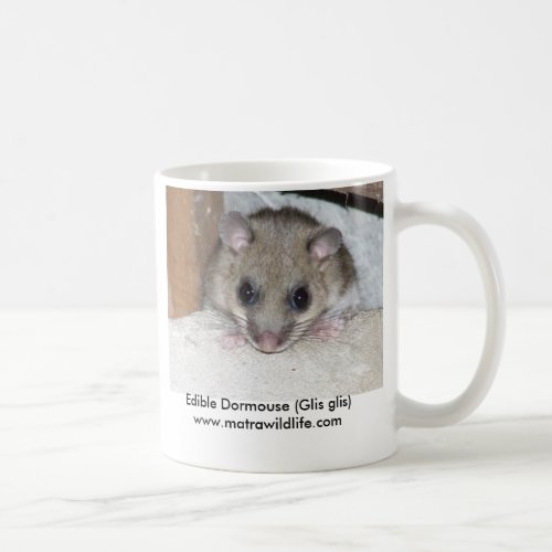 Edible Dormouse Mug