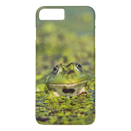 Edible Frog in the Danube Delta iPhone 8 Plus7 Plus Case