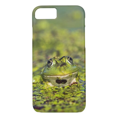 Edible Frog in the Danube Delta iPhone 87 Case
