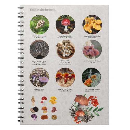Edible Mushrooms Photos Guide Chart Journal