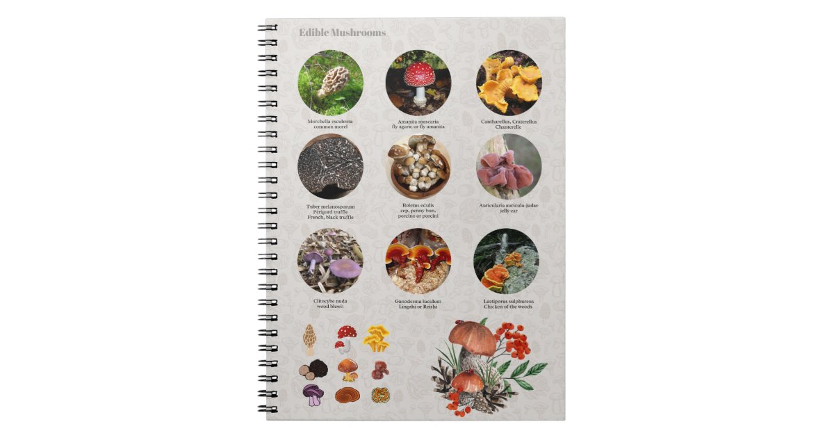 Edible Mushrooms Photos Guide Chart Journal | Zazzle