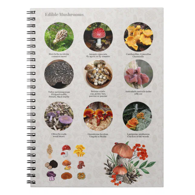 Edible Mushrooms Photos Guide Chart Journal | Zazzle