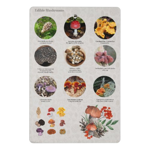 Edible Mushrooms Photos Guide Chart  Mini Clipboard