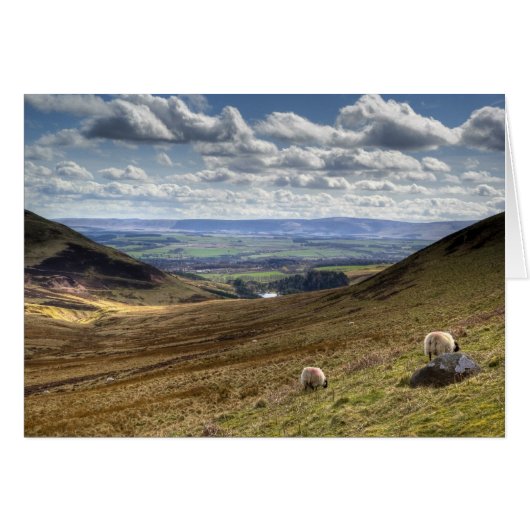 Edinburgh Pentland Hill View Cards (Front Horizontal)
