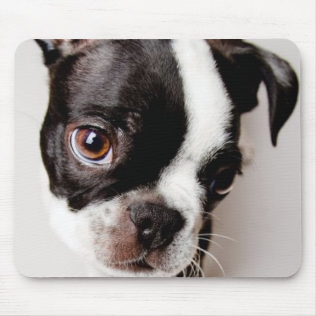 Edison Boston Terrier puppy. Mouse Pad (Front)