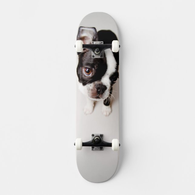 Edison Boston Terrier puppy. Skateboard Deck (Front)