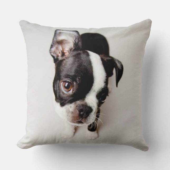 Edison Boston Terrier puppy. Throw Pillow (Front)