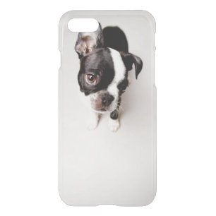 Edison Boston Terrier puppy. iPhone SE/8/7 Case