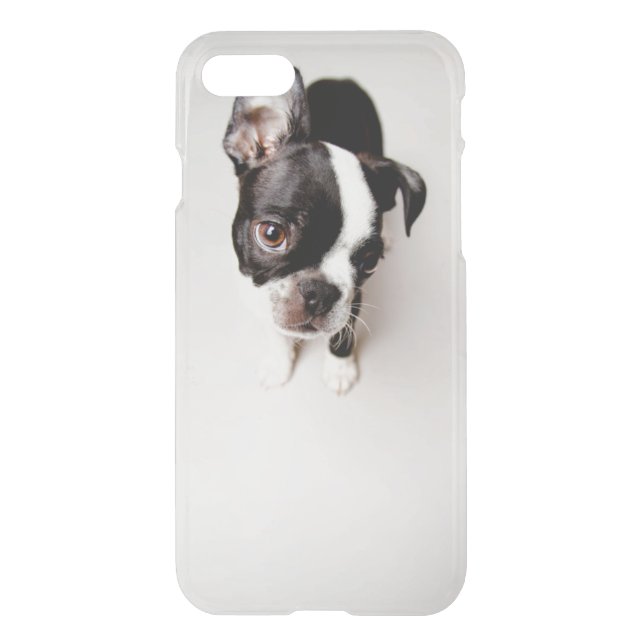 Edison Boston Terrier puppy. Uncommon iPhone Case (Back)