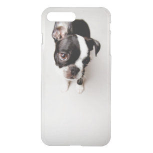 Edison Boston Terrier puppy. iPhone 8 Plus/7 Plus Case