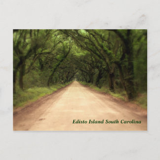 Edisto Island South Carolina - Customized Postcard