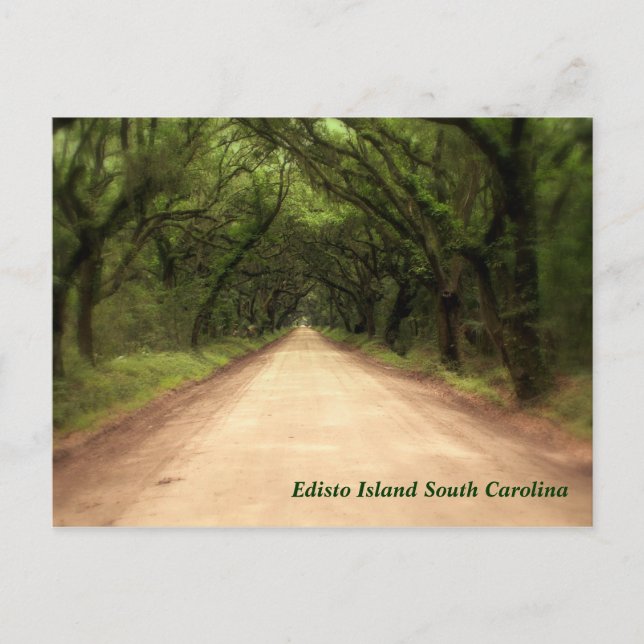 Edisto Island South Carolina - Customized Postcard (Front)