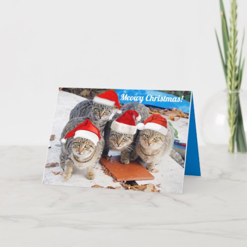 Editable A Very Meowy Cat Christmas Card