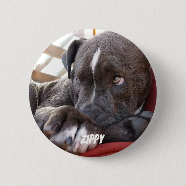 Editable Baby Pitbull Puppies Button (Front)