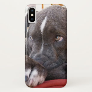 iPhone 12 Pro Max Funny muscular Pitbull dog, headphones purple leather  jacket Case