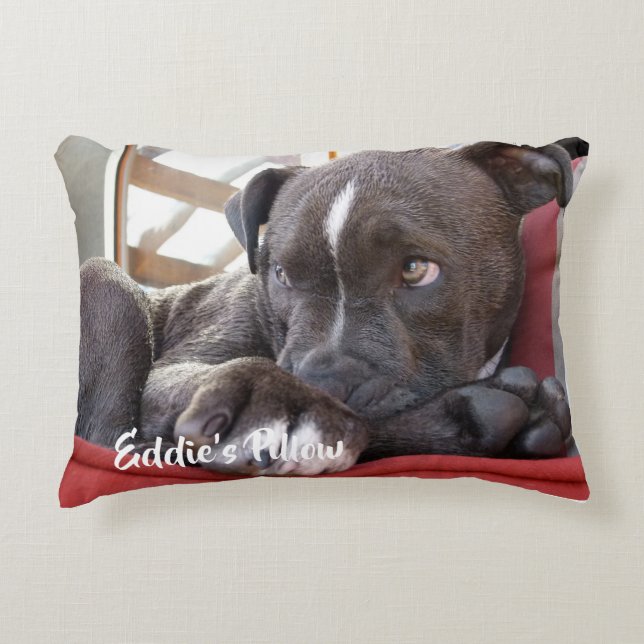 Editable Baby Pitbull Puppy Accent Pillow (Front)