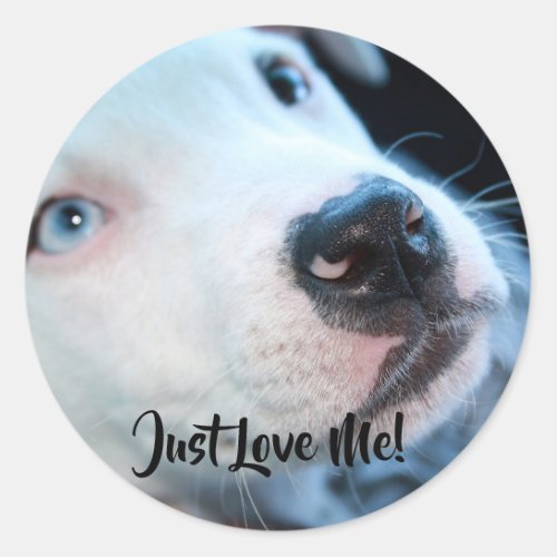 Editable Baby Pitbull White Puppy Classic Round Sticker