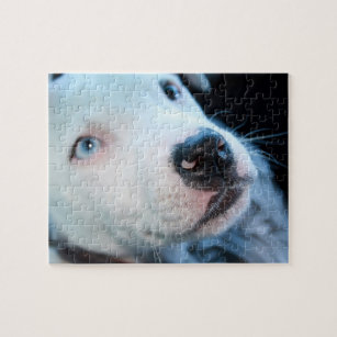 https://rlv.zcache.com/editable_baby_pitbull_white_puppy_jigsaw_puzzle-r8423a02d114c4b9cafa52f217885b3e1_amb0f_8byvr_307.jpg