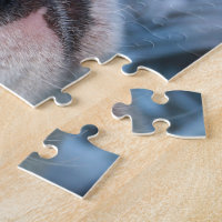 Baby White Pitbull Puppy Jigsaw Puzzle