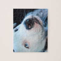 Baby White Pitbull Puppy Jigsaw Puzzle