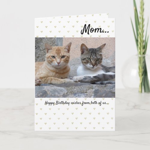 Editable Birthday From Child and Partner Cats  Card