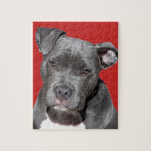 Editable Black Pitbull Jigsaw Puzzle