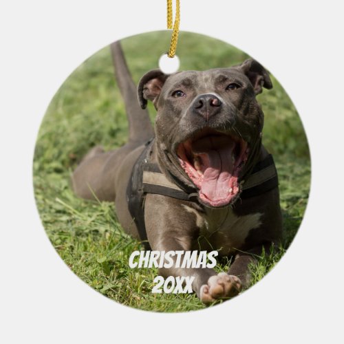 Editable Brown Pitbull In Grass Ceramic Ornament