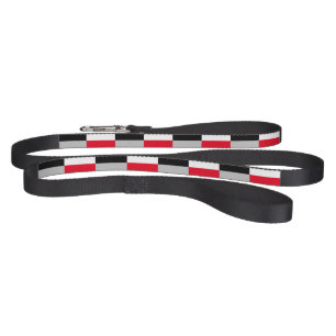 Editable checkerboard pattern pet leash