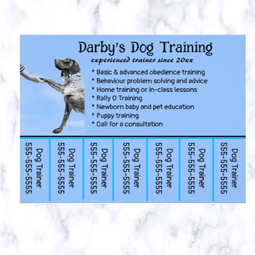 Editable Dog Trainer Phone Number Flyer