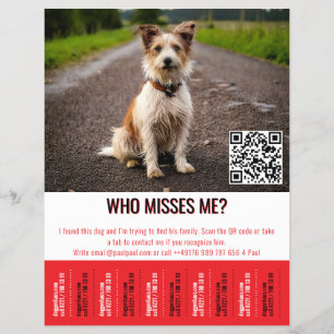 Editable Found Dog Poster With QR Code & Tear‑Off  Flyer