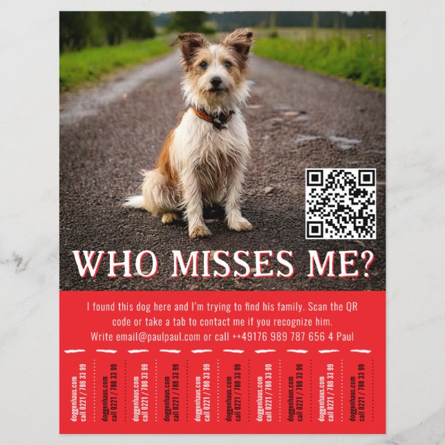 Editable Found Dog Poster With QR Code & Tear‑Off  Flyer (Front)
