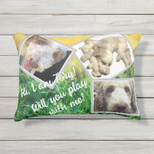 Editable Framed Photos and Texts Outdoor Pillow