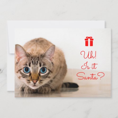 Editable Funny Typography Cute Cat Christmas I Holiday Card