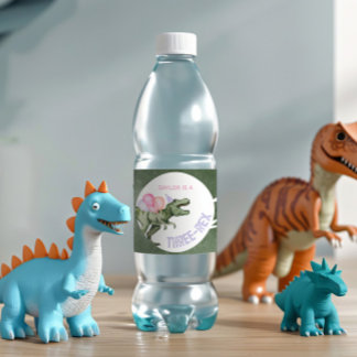 Editable Girl's Dinosaur Water Bottle Labels