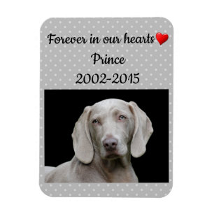 Editable Gray Forever In Our Hearts Pet Memorial Magnet