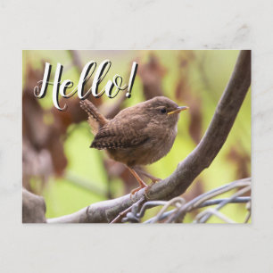 Editable Hello Neighbor New Address Wren Announcem Announcement Postcard