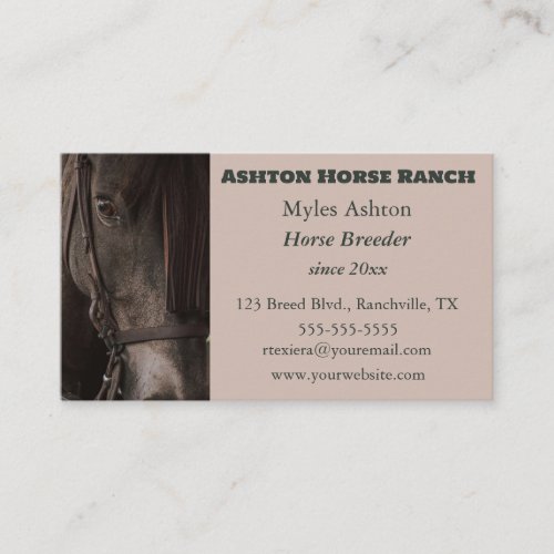 Editable Horse Ranch Horse Breeder Business Card