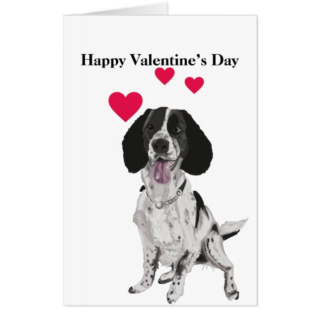 Editable large Springer Spaniel Valentines  Card (Front)