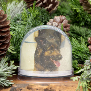 Editable Pet Photo Name and Dates Snow Globe