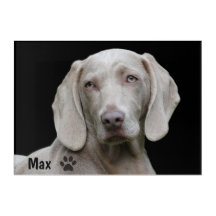 Editable Photo Pawprint Name