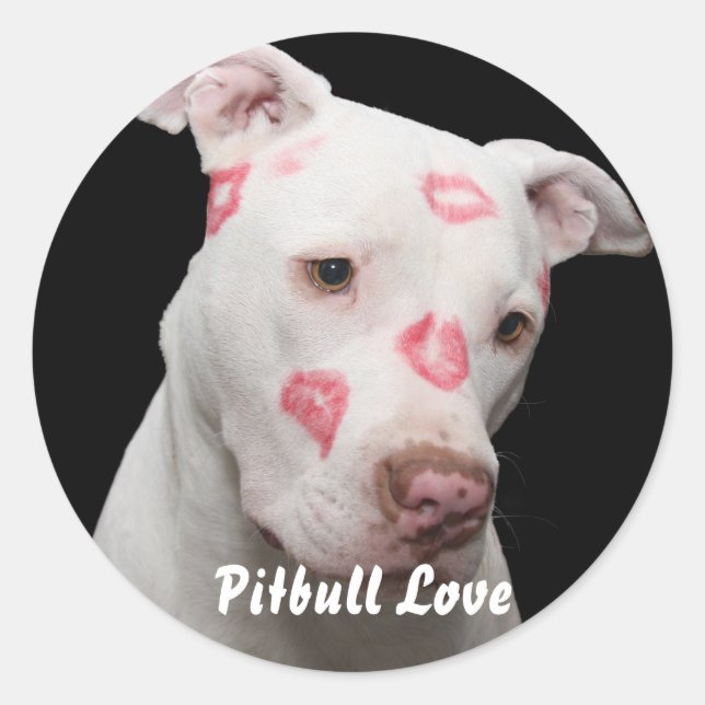 Editable Pitbull Lover Classic Round Sticker (Front)